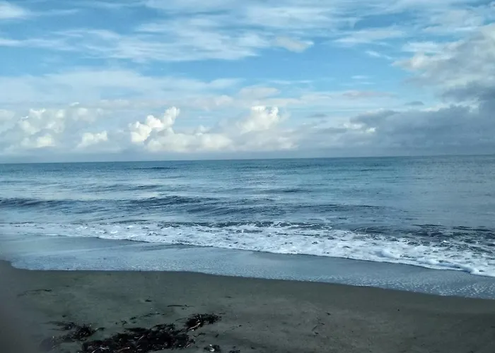 Un Nid Douillet En Bord De !! *