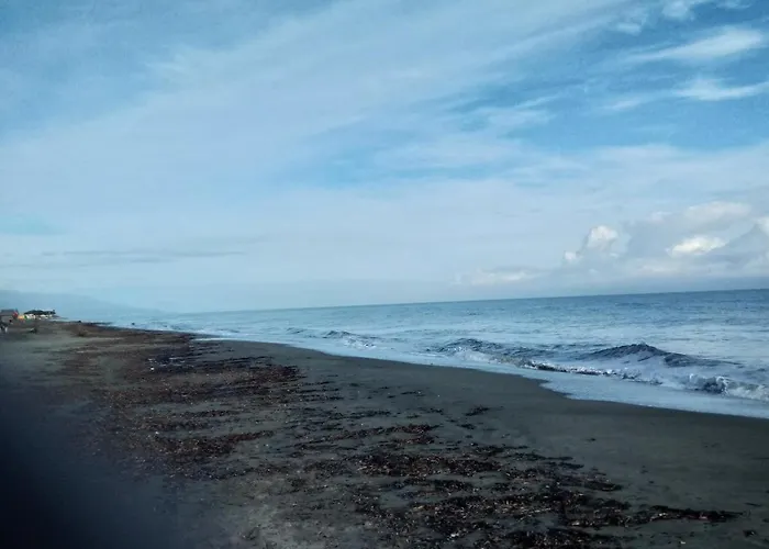 Un Nid Douillet En Bord De !! *