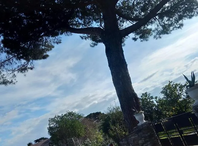 شقة Un Nid Douillet En Bord De !! *