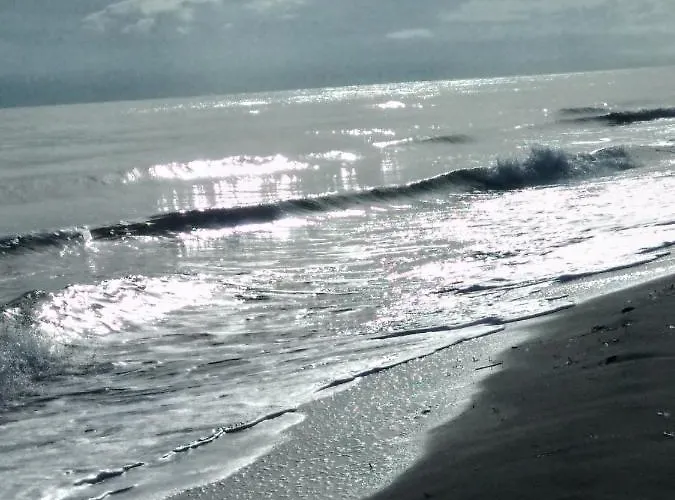 Daire Un Nid Douillet En Bord De !!